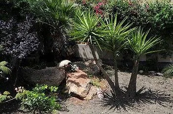 Il Mandorlo 住宿加早餐酒店 夏卡